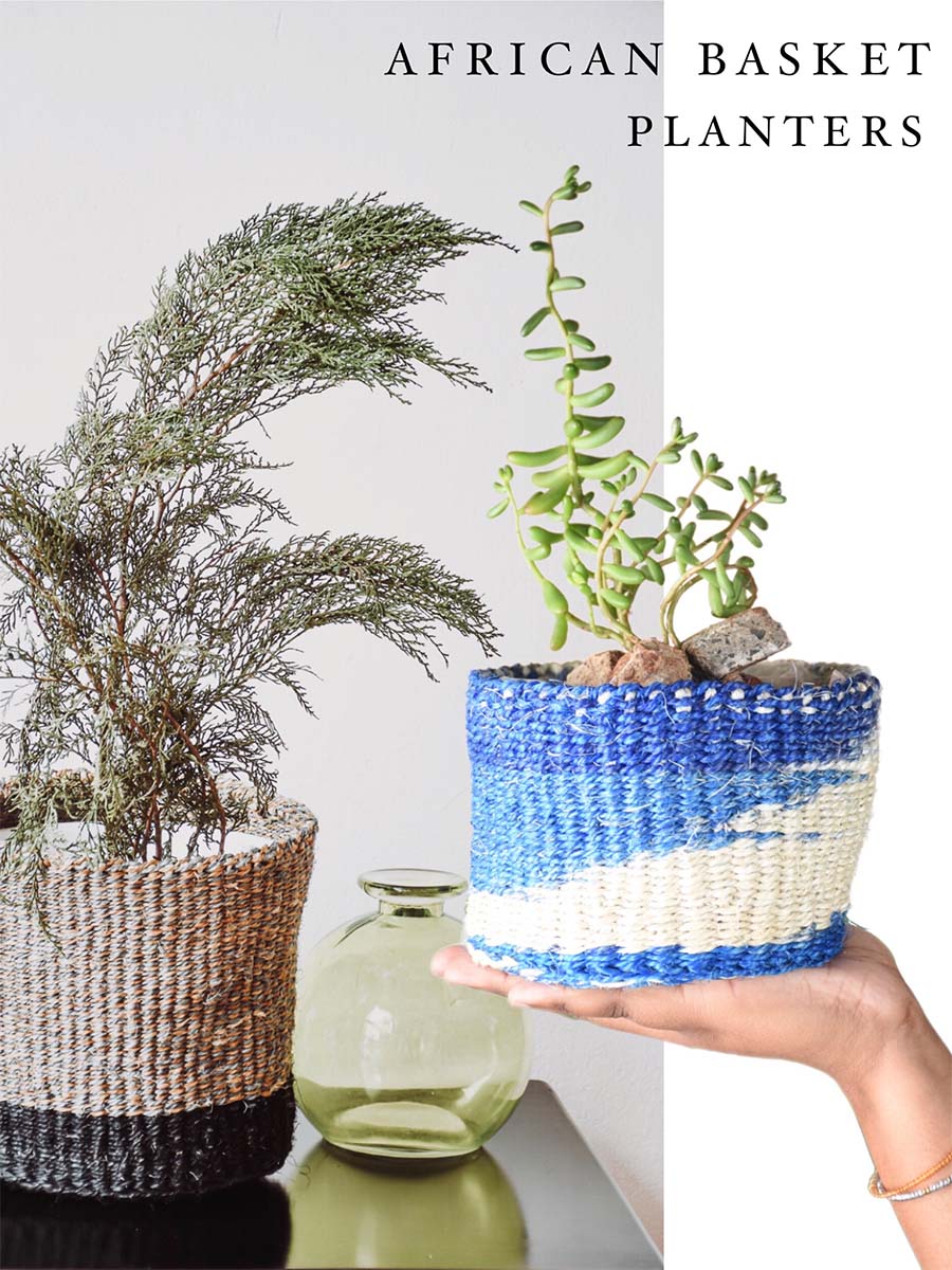 Color Palettes for African Basket Planters to Complement Your Greenery