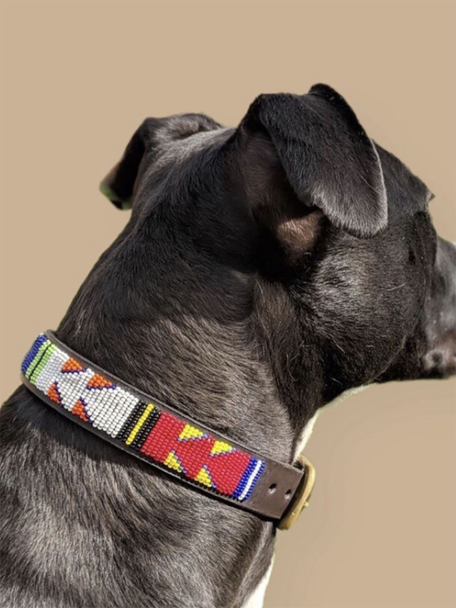 8 of our Best Beaded Dog Collars For African Flair