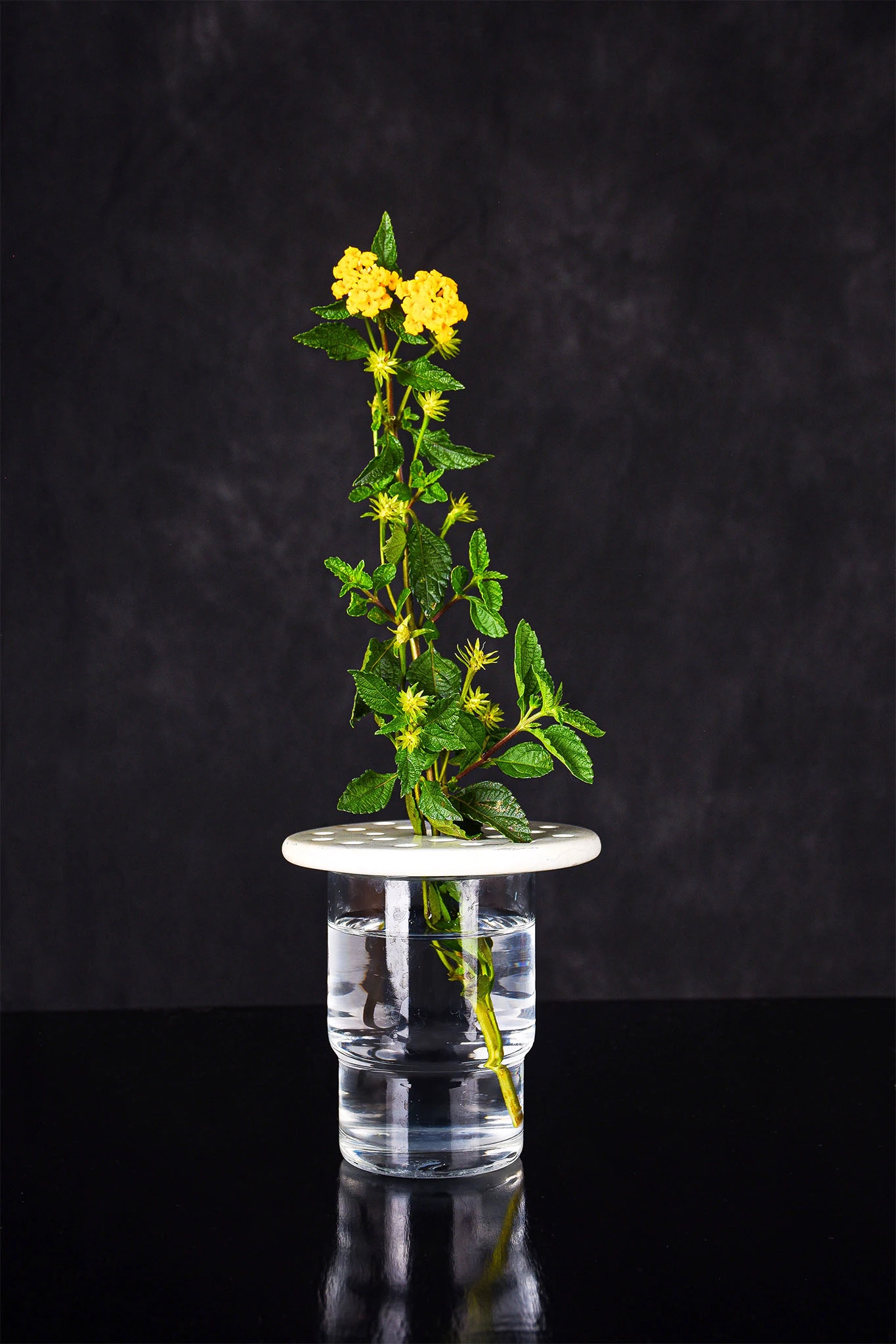 Garden Accessories