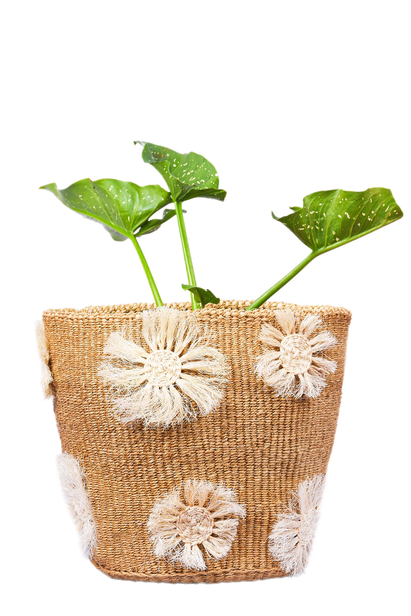 Handmade African Basket Planter