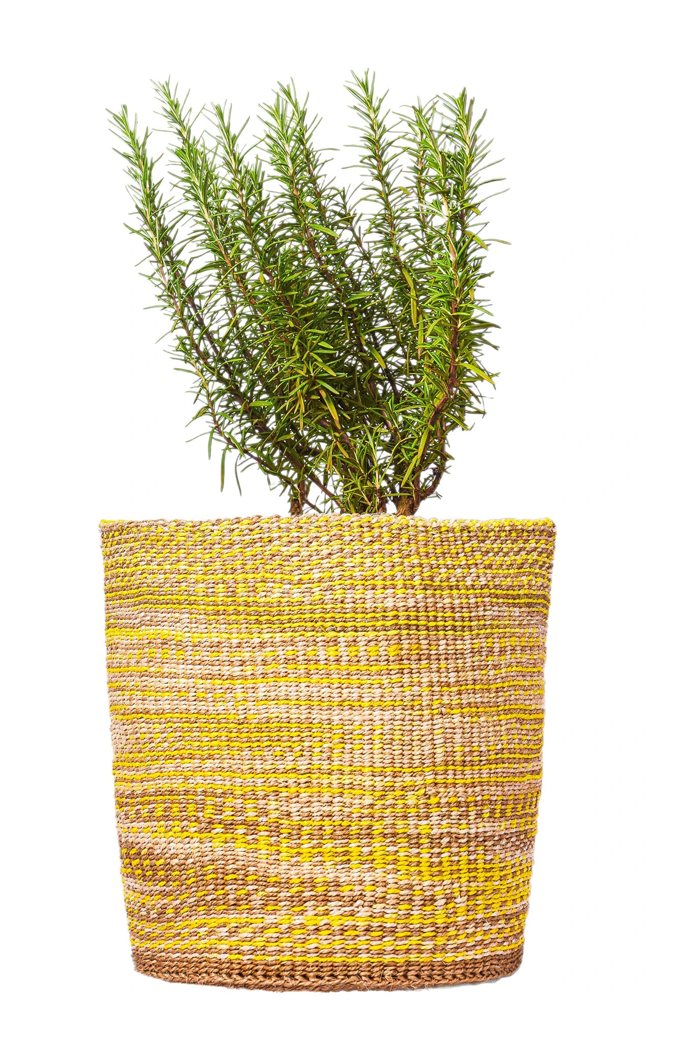 Handmade African Basket Planter